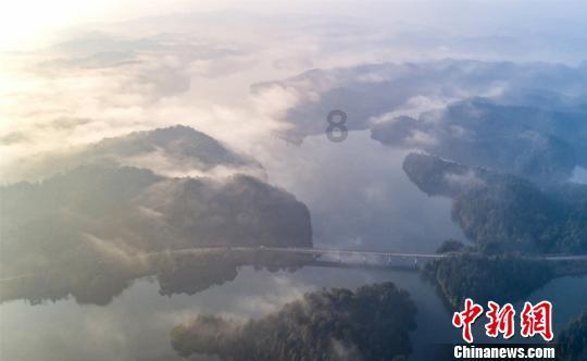 你会选择结婚吗？